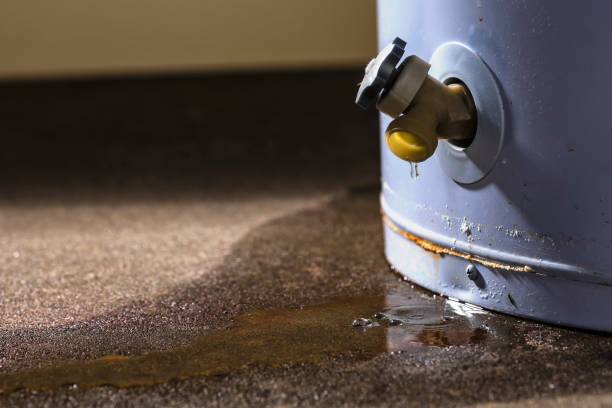  Hillburn, NY Water damage restoration Pros