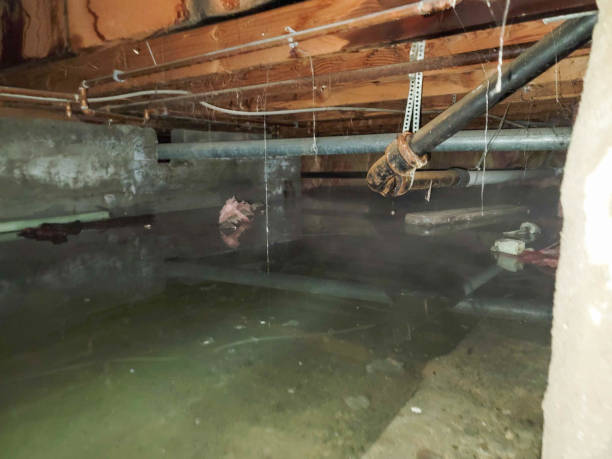 Best Water damage restoration mold remediation  in Hillburn, NY