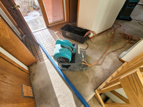 Best Water damage contractors near me  in Hillburn, NY