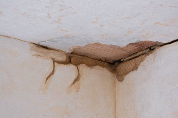 Best 24/7 water damage repair  in Hillburn, NY