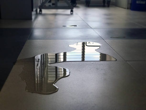 Best Water damage restoration near me  in Hillburn, NY