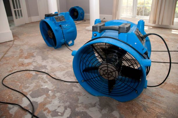 Water damage restoration mold remediation in NY