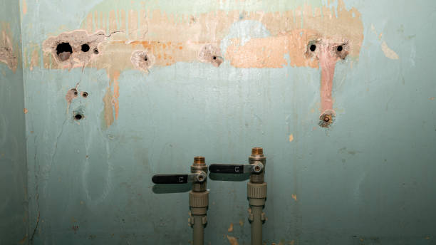 Best Carpet water damage restoration  in Hillburn, NY