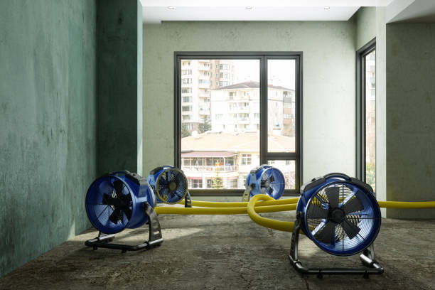 Best Flood restoration services  in Hillburn, NY